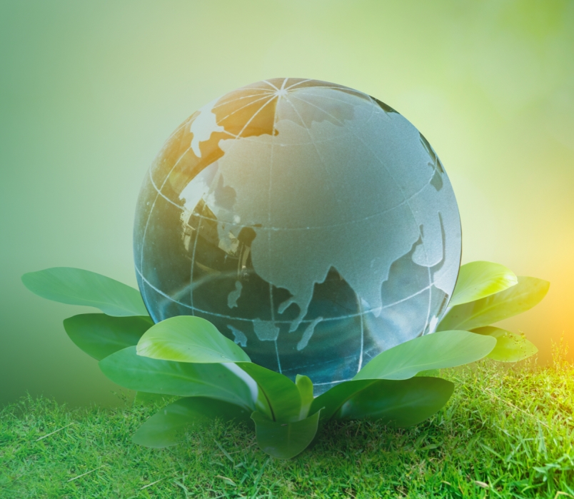 「重磅」瑞旭数字化碳管理软件获法国标准协会认证证书