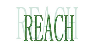 「欧盟」REACH附件XVII新增 N,N-二甲基甲酰胺(DMFa)的限制条款